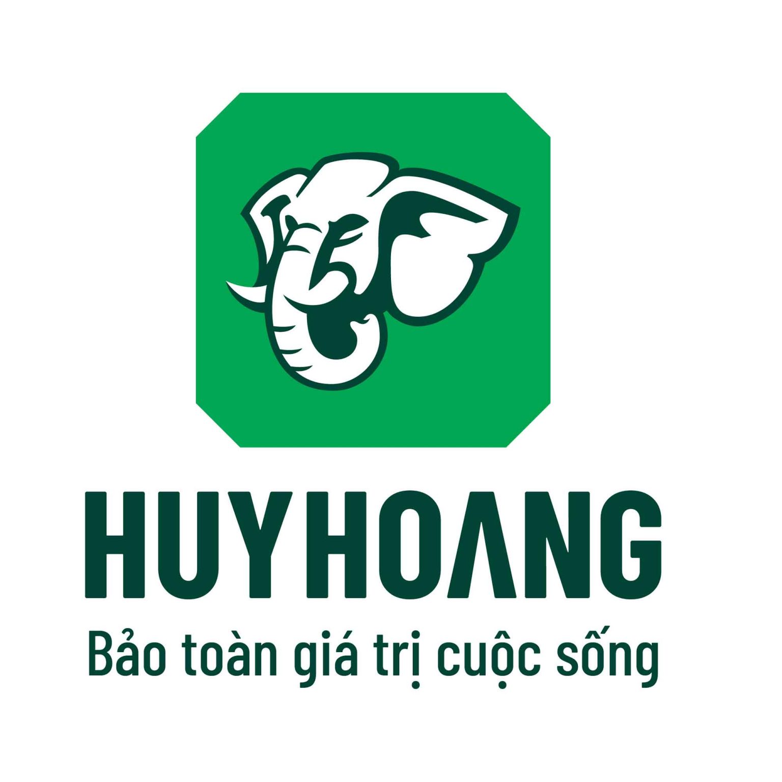 HUY HOANG
