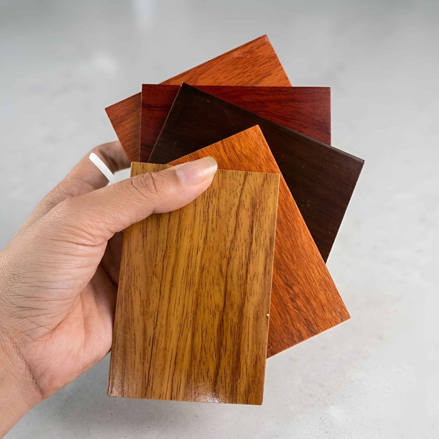 màu sắc COMPOSITE